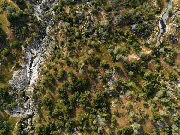 На вершине мира: дом рядом с национальным парком Йосемите